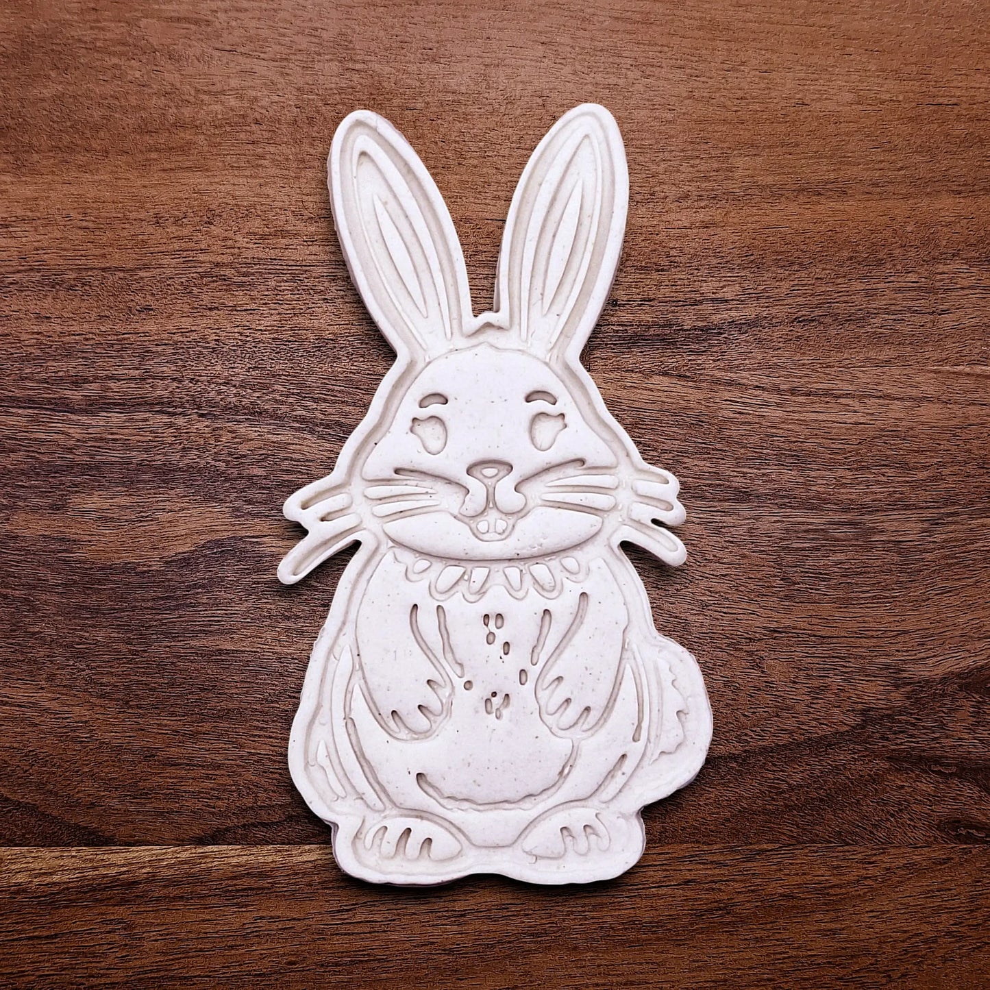 Bunny Rabbit Cookie Cutter Set and Stamp - Craft Fondant Baking Mold