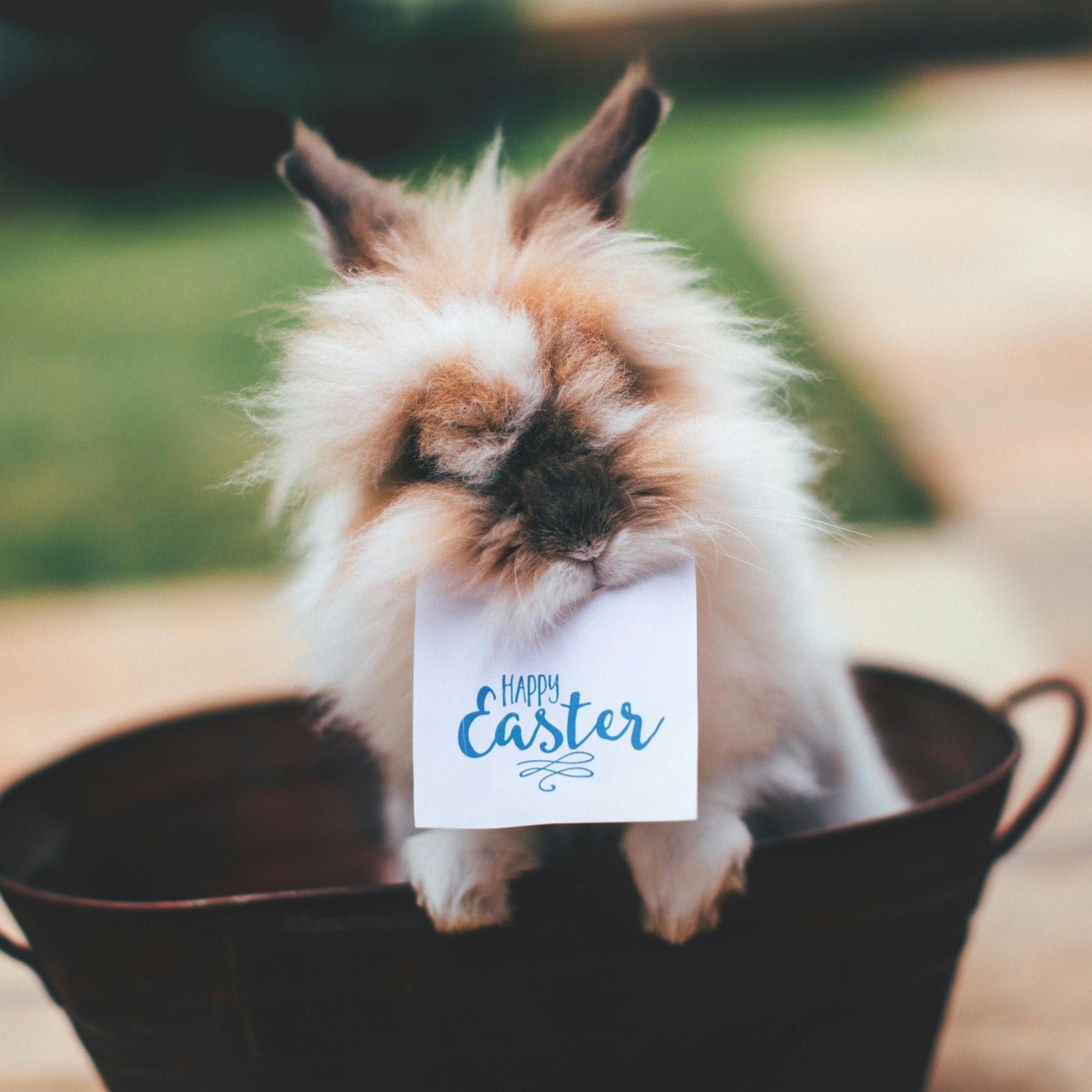 Handmade Easter keychains in 30 colors. Eco-friendly, festive, and perfect for baskets and spring parties.