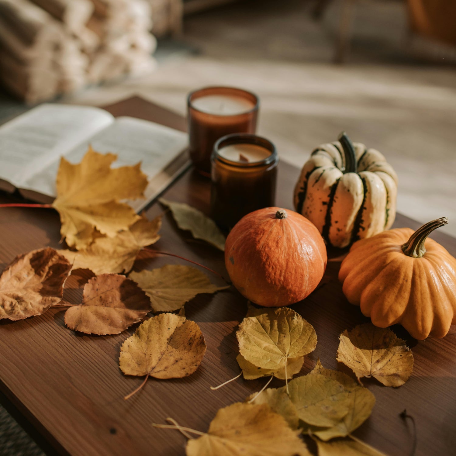 Autumn-inspired cookie cutters for fall baking, eco-friendly, handmade, perfect for classroom parties and festive family treats.