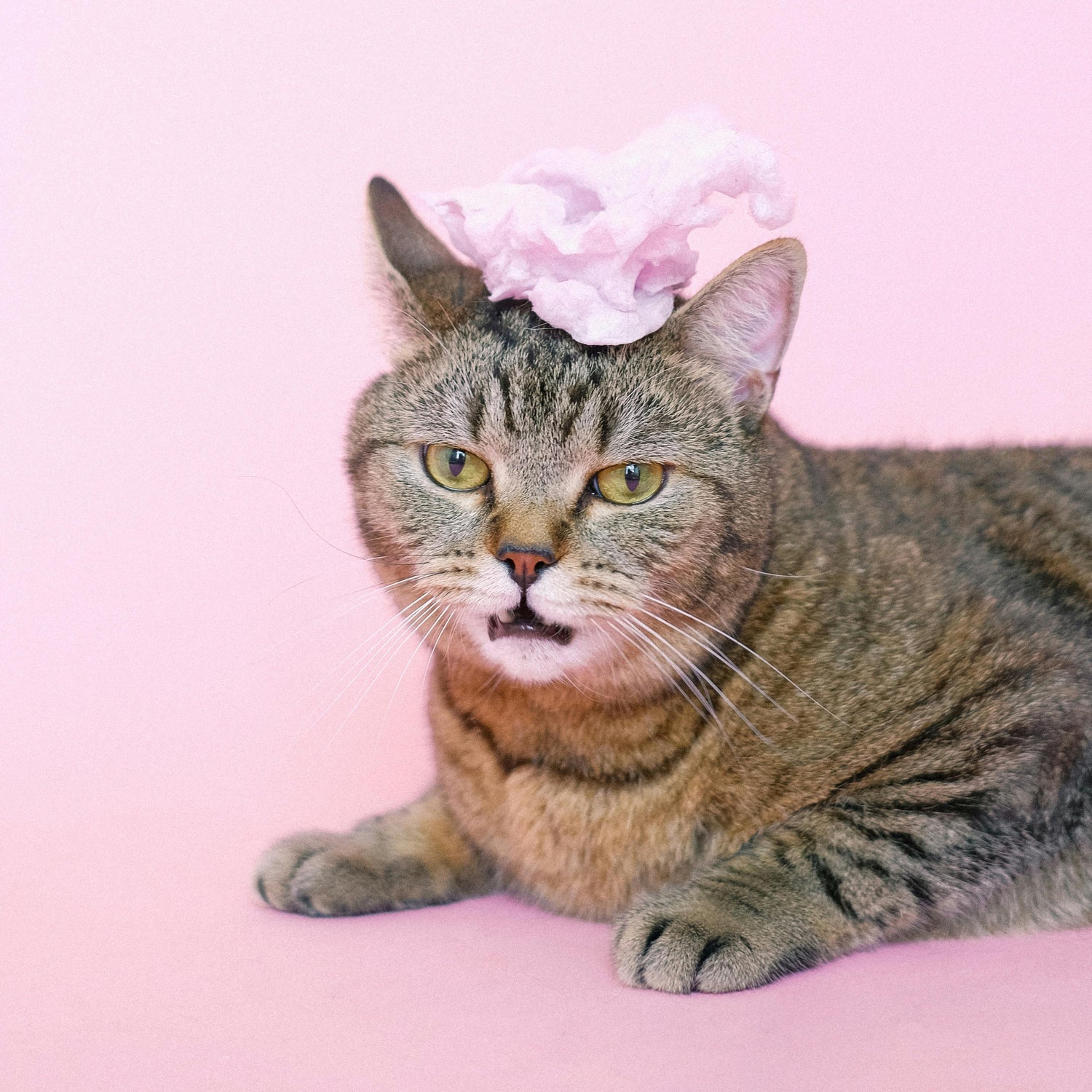 Humorous cookie cutters for baking fun, handmade, eco-friendly, perfect for parties, kids, and creative dessert projects.