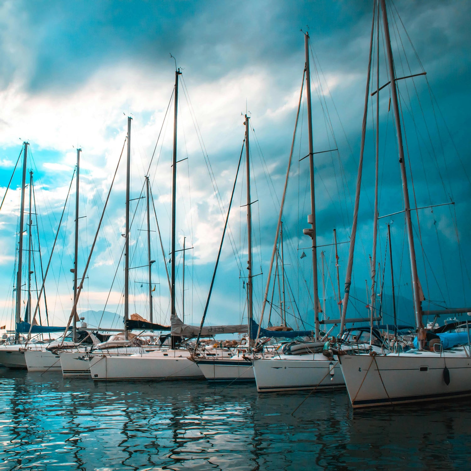 Nautical-themed cookie cutters for baking fun, handmade, eco-friendly, ideal for beach parties and creative cookies.