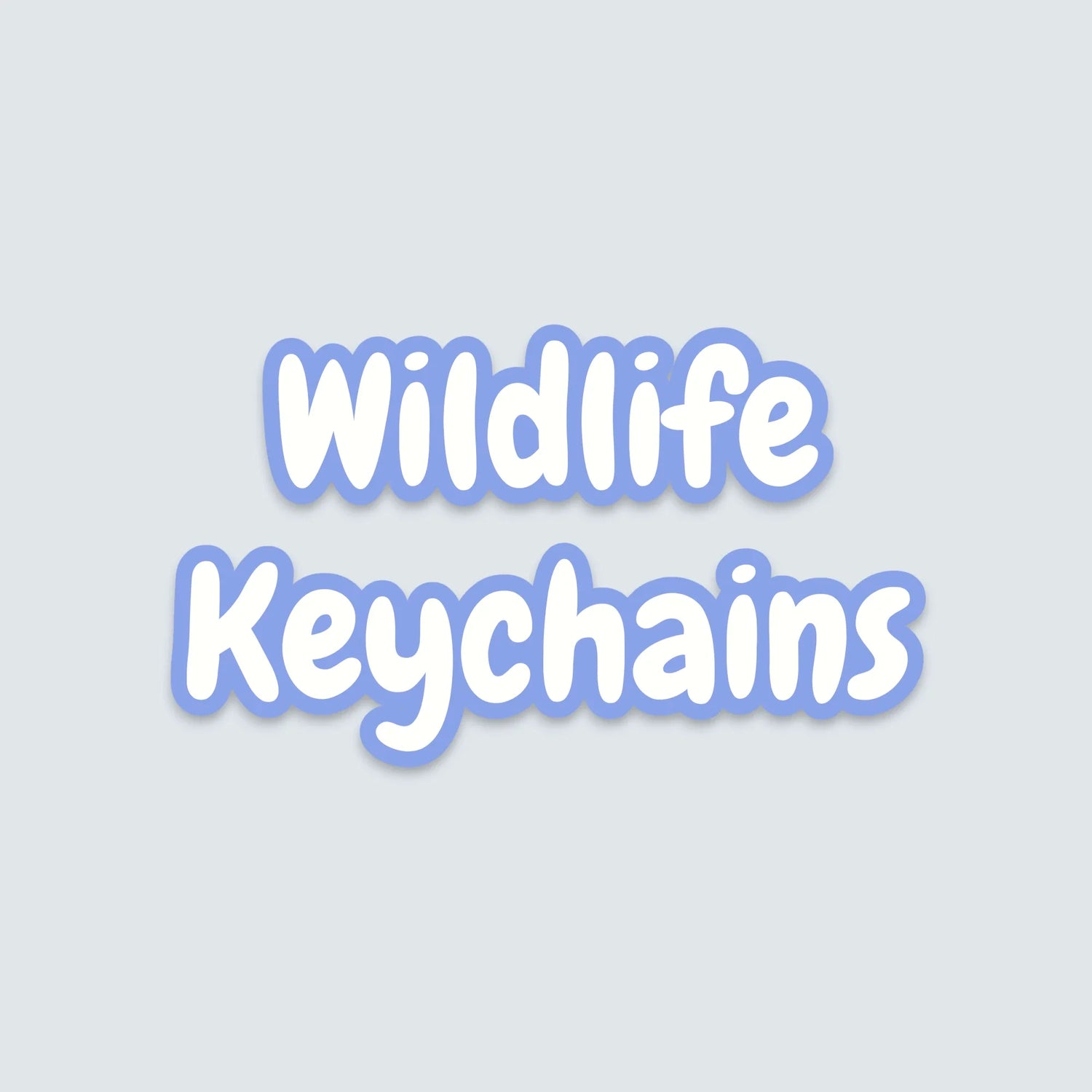 🐾 Wildlife Keychains