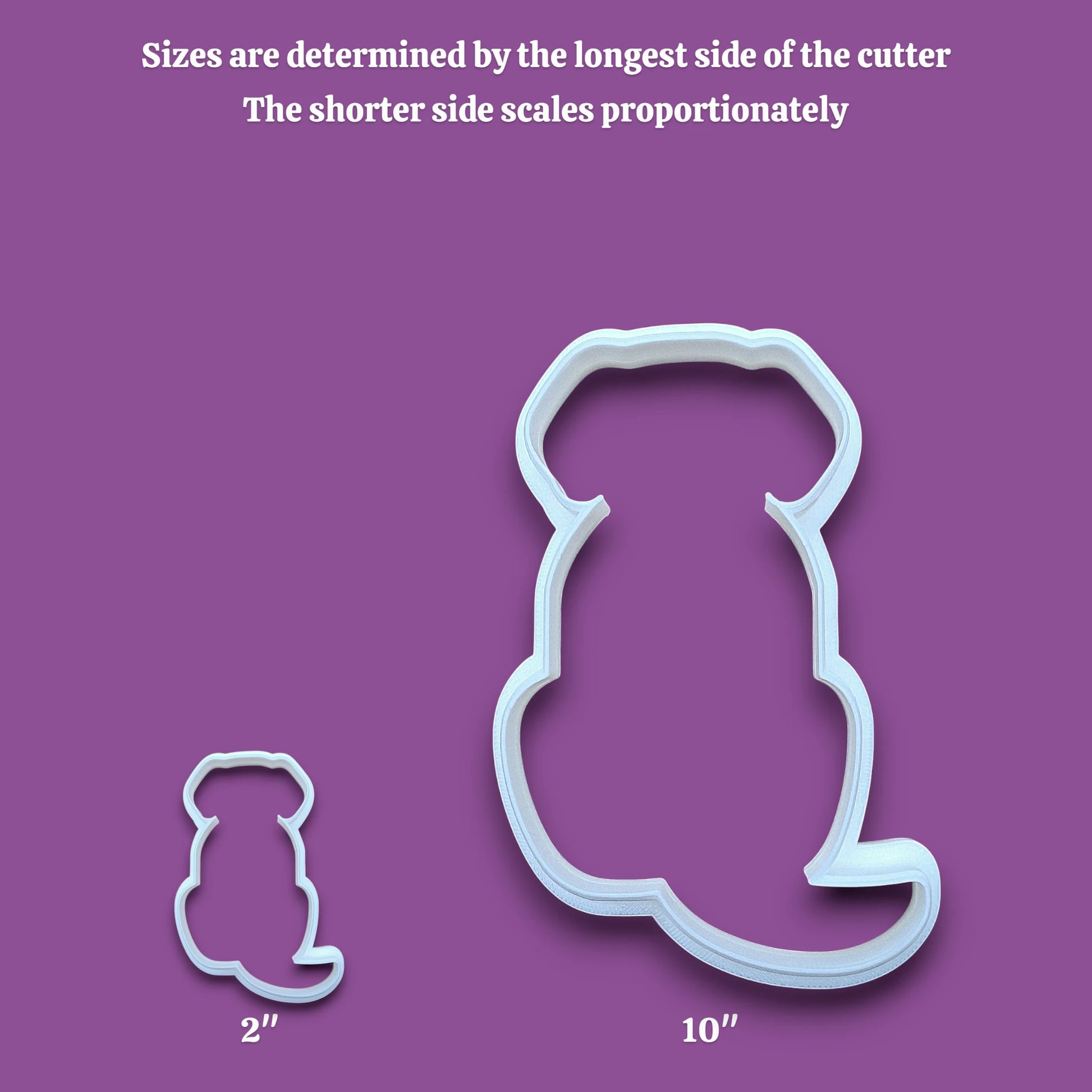 Two white dog cookie cutters in different sizes shown on a gray background with text explaining that sizes are determined by the longest side and the shorter side scales proportionately. The larger cutter is labeled 10 inches and the smaller cutter is labeled 2 inches.