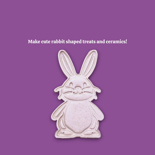 Bunny Rabbit Cookie Cutter Set and Stamp – Spring Baking Craft Mold