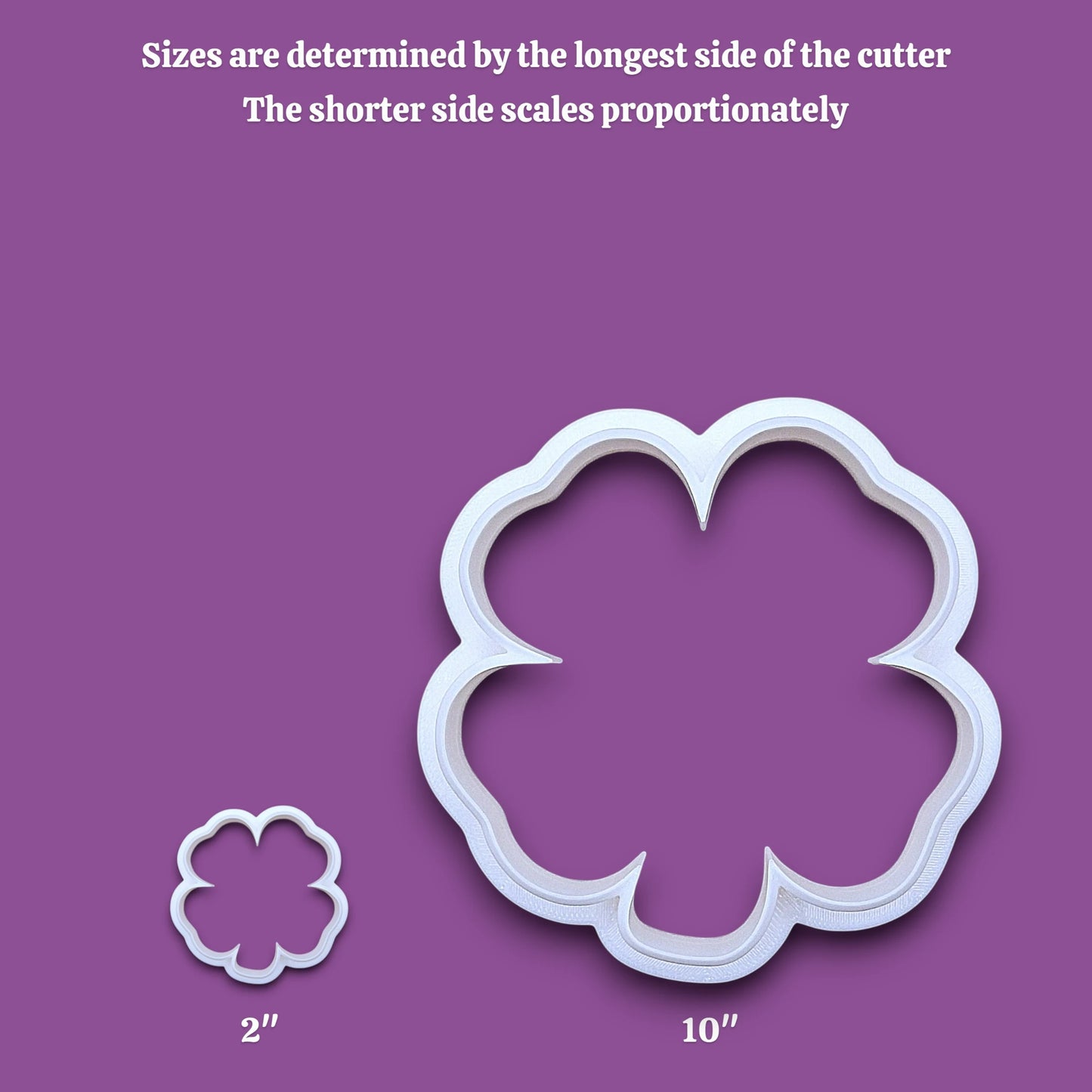 A white four leaf clover shamrock cookie cutter shown in two sizes on a gray background, with text explaining that sizes are determined by the longest side and that the shorter side scales proportionately. The larger cutter is labeled 10 inches, and the smaller cutter is labeled 2 inches.